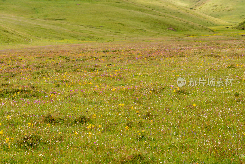 蓝天白云草原风景