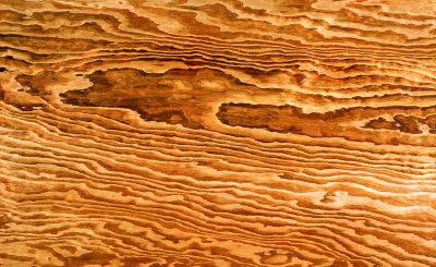 木板木质纹理材质背景