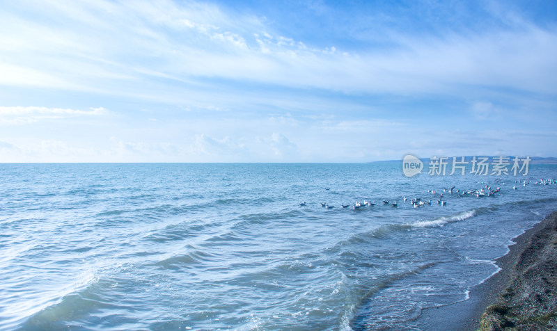 蓝色的青海湖海平面地平线自然风光
