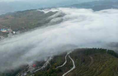 重庆酉阳：雾漫青山白茫茫