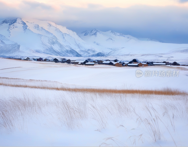 高山雪地