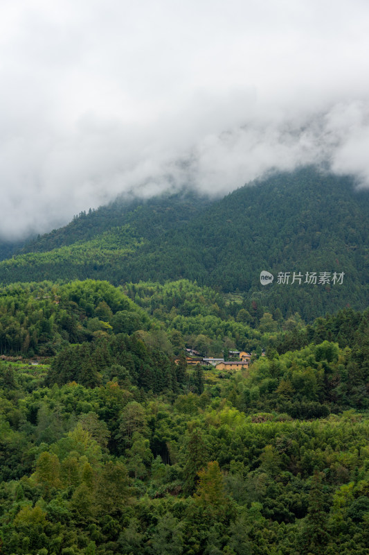 浙江丽水云和梯田景区风光