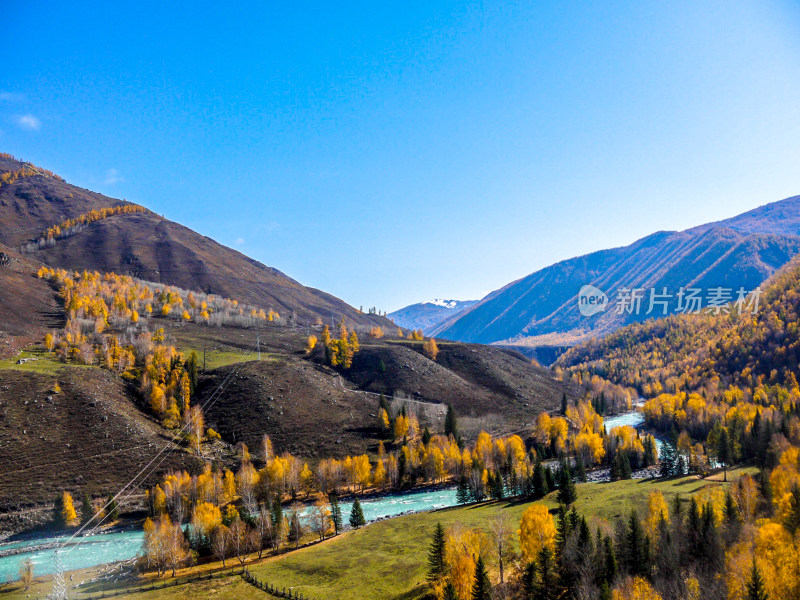 喀纳斯河风景