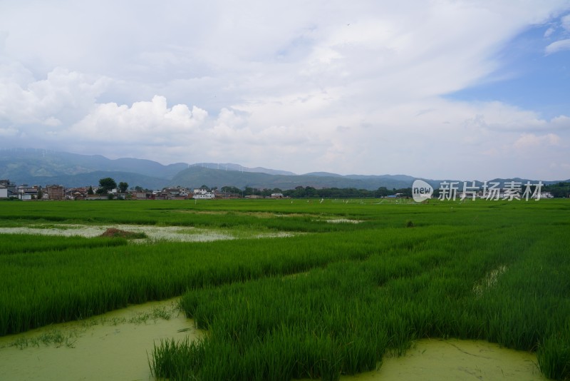 田野乡村与远山风景