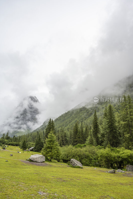 四川四姑娘山双桥沟自然风景