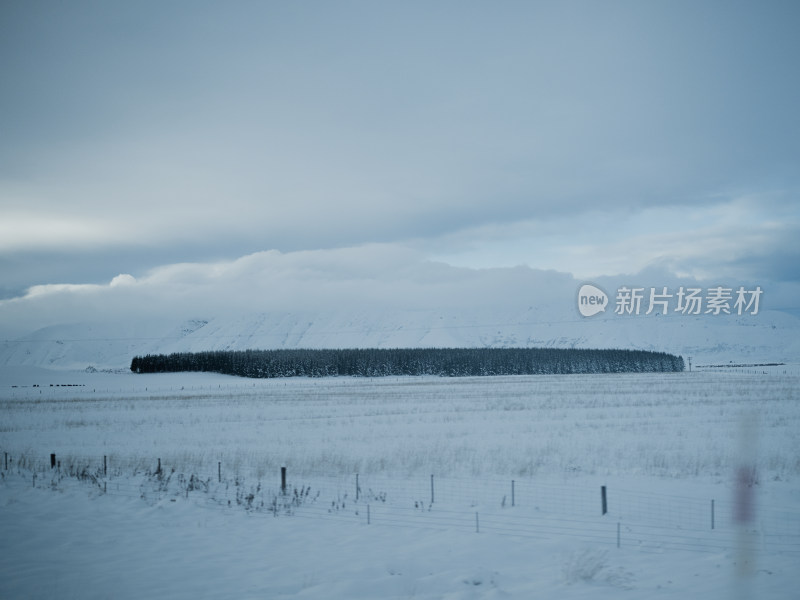 蒂卡波湖 农场