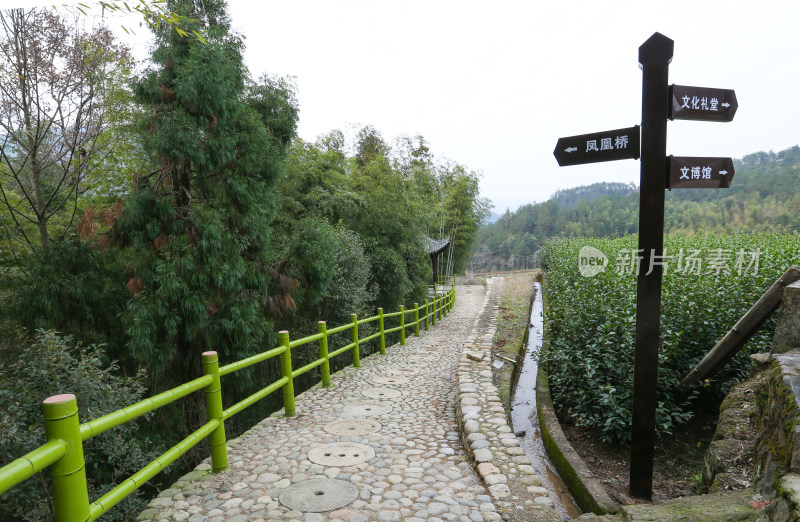 农村游步道古道步行