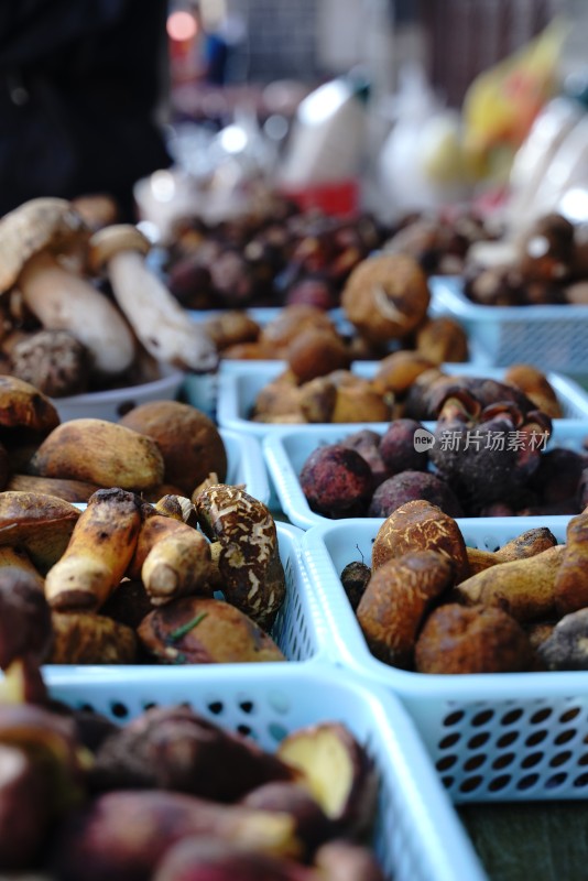 市场摊位上摆满各类新鲜野生菌