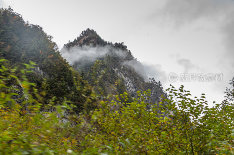 秋天树林云雾山峰