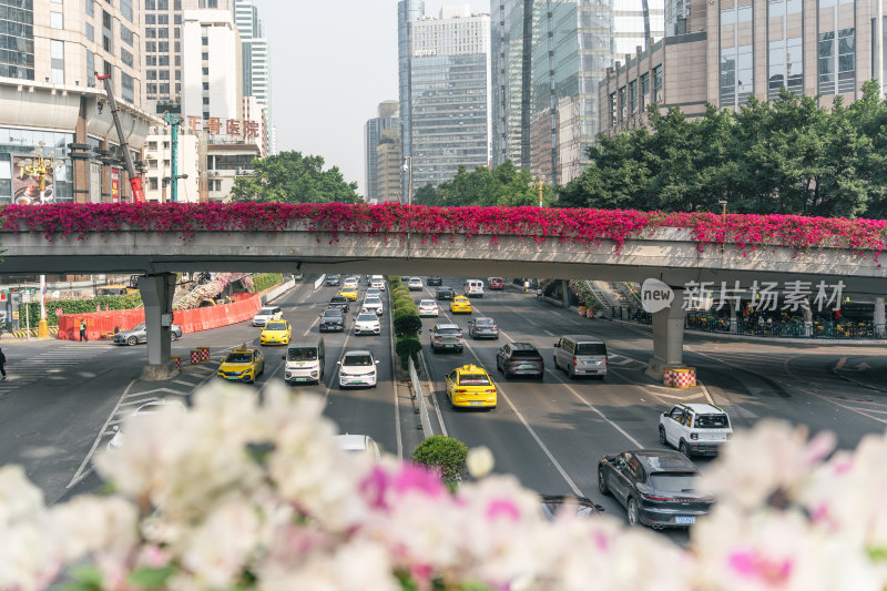 城市中鲜花覆盖的天桥景观