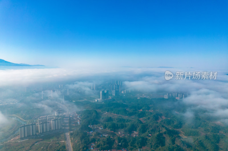 城市清晨云海风景航拍摄影图