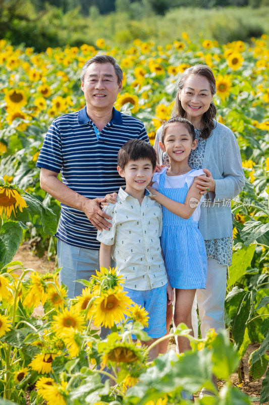 幸福家庭站在花海里