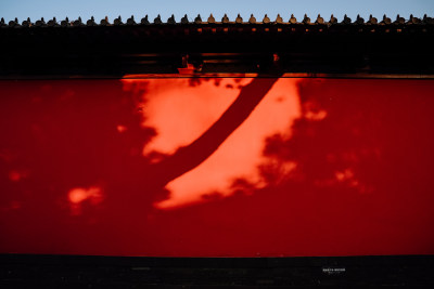 夕阳下的德寿宫的红墙与树影