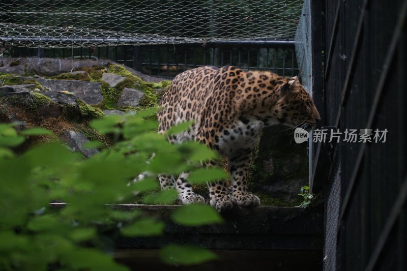 杭州风光 西湖风光