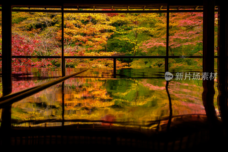 室内视角赏多彩秋叶倒影的景致