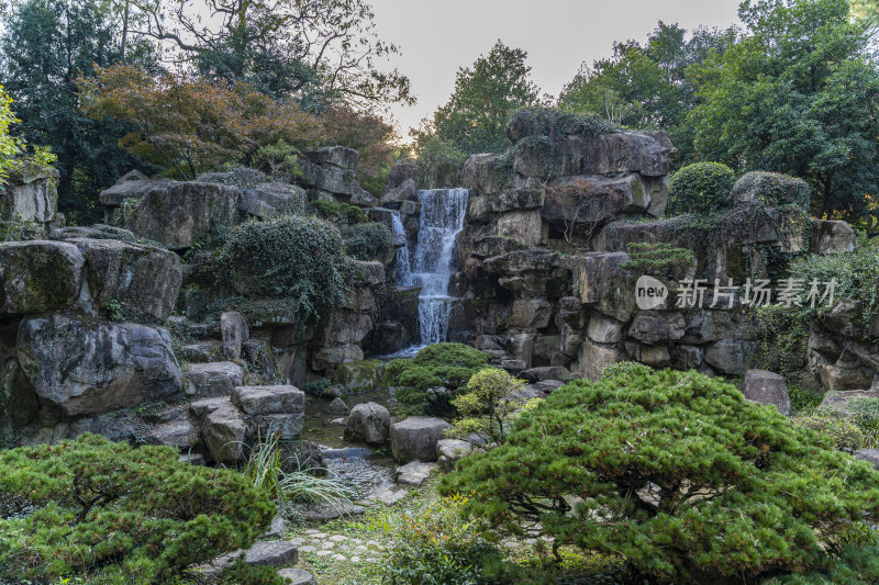 杭州西子湖畔杭州花圃风景