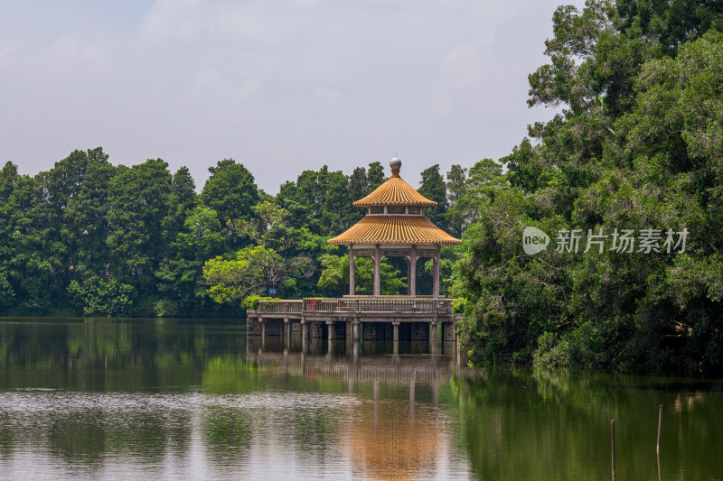 夏季白天广东揭阳榕江西湖公园湖心亭