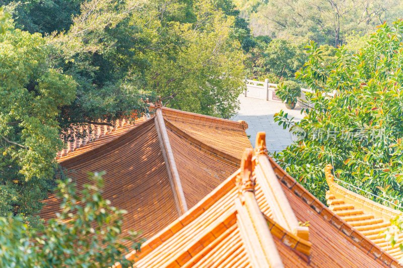 广东省深圳市罗湖区仙湖植物园内弘法寺