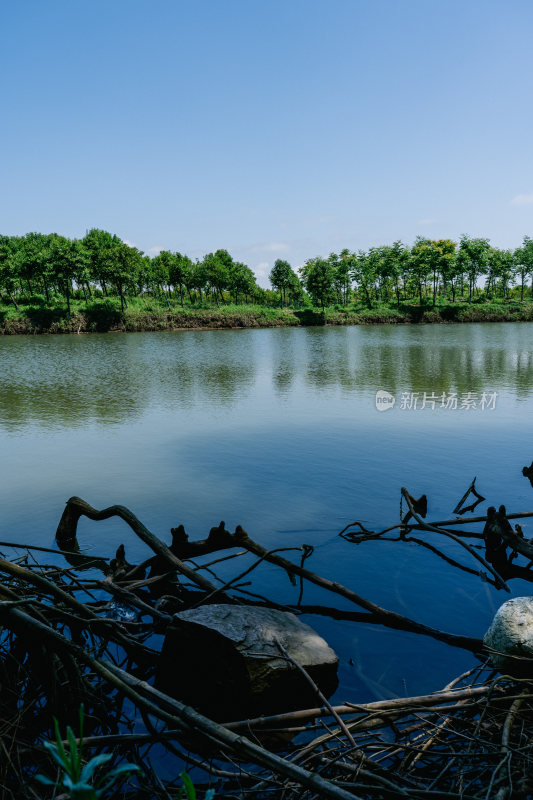 上海长江大桥崇明岛