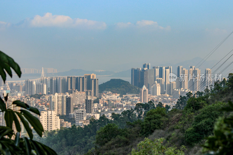 深圳南山区都市建筑风光