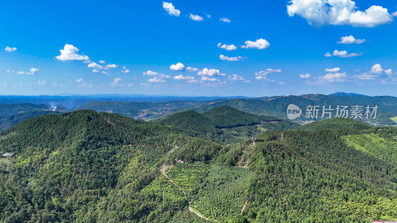 山川丘陵大山山脉森林植物航拍图