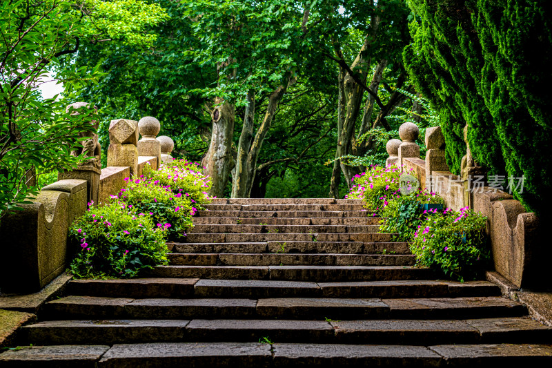 上海佘山森林公园景观