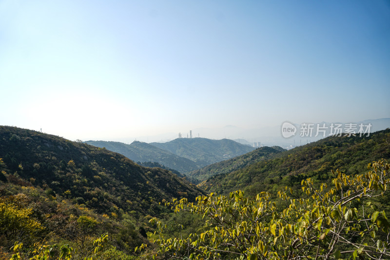 高山风景绿色自然