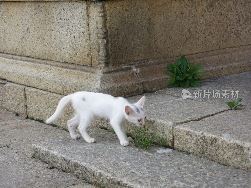 广东东莞：江边古村落