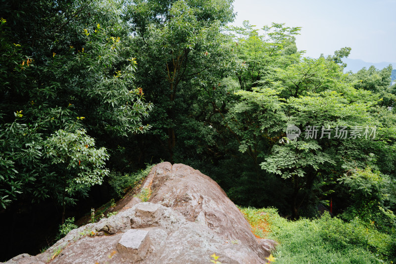 台州府城巾山公园