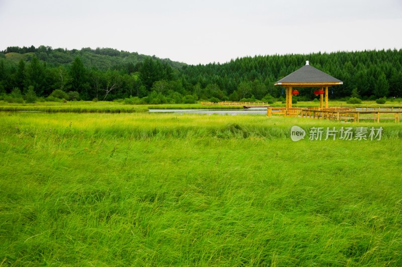 内蒙,坝上,乌兰木统,乌兰木统草原,红山,军马场,草原,草地,