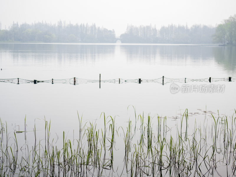 杭州西湖茅家埠江南水乡风景