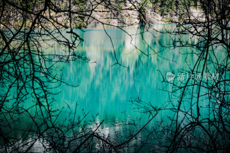 九寨沟的清澈湖水景观