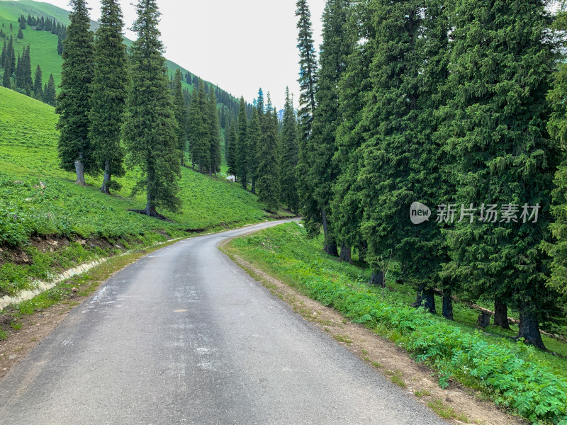 中国新疆伊犁那拉提草原夏季旅游风光