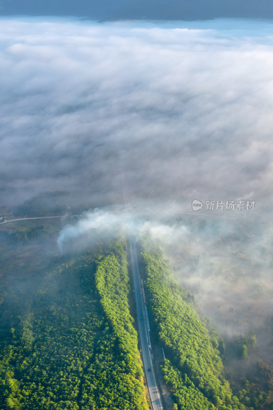云雾中的森林公路