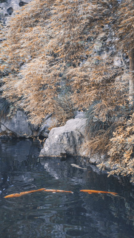 杭州清代古宅胡雪岩故居风景