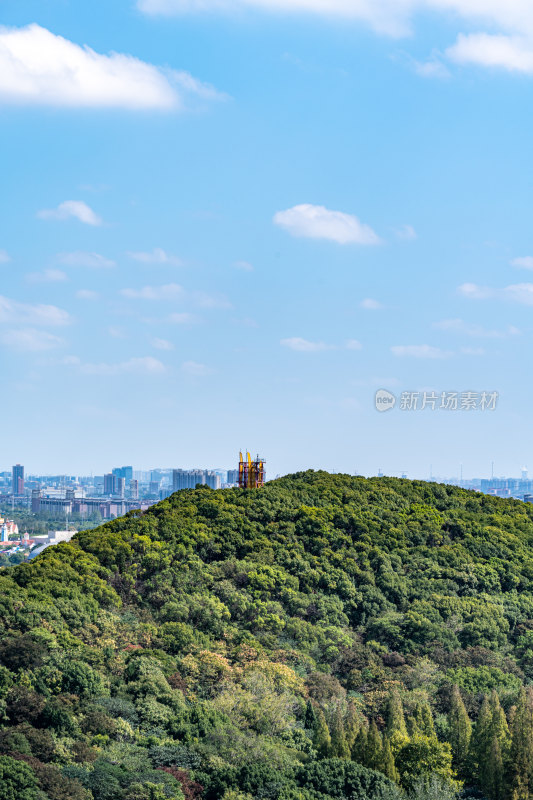 上海松江佘山森林公园自然建筑景观