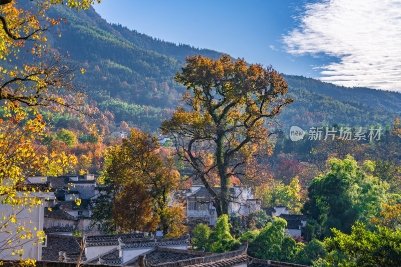 皖南秋色塔川国家森林公园