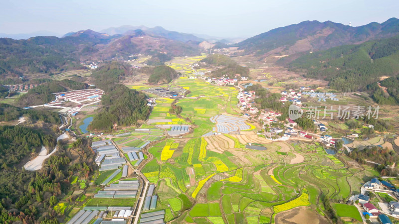 美丽乡村田园农业种植航拍