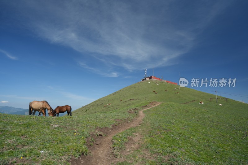 五台山南台风光