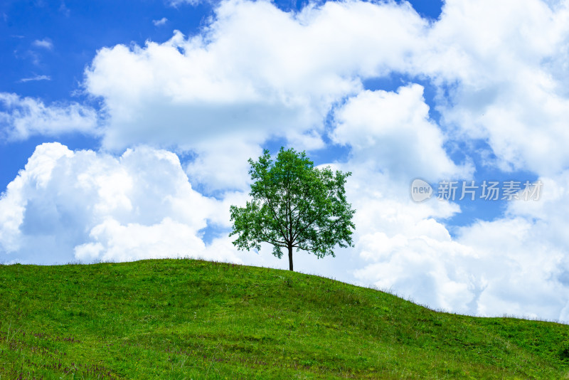 临夏回族自治州太子山耳子屲梁风景区