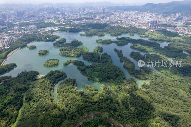 深圳龙华区茜坑水库