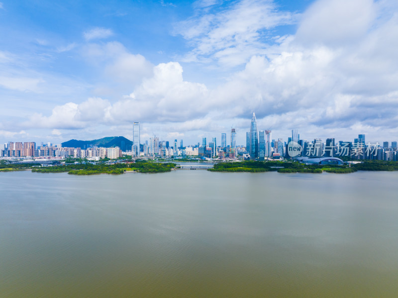 深圳后海深圳湾人才公园