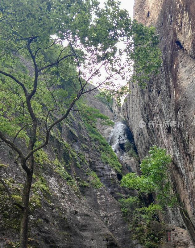 山间峡谷绿植覆盖岩石景观