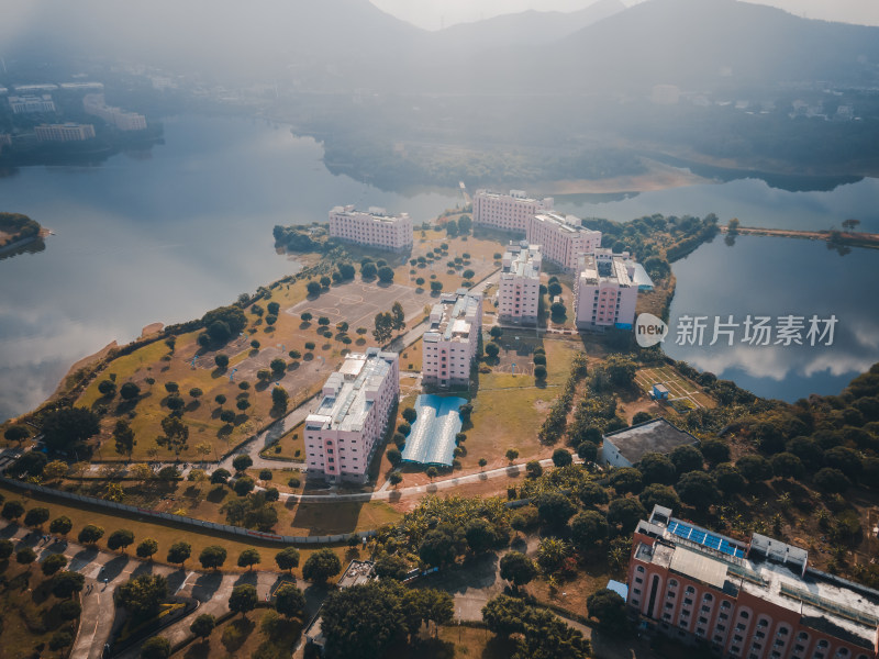 仰恩大学