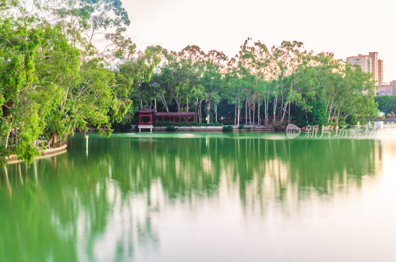 福建省福州西湖公园的水边亭子和绿树倒影