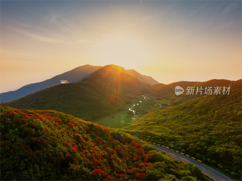 长沙市浏阳大围山杜鹃花海风光