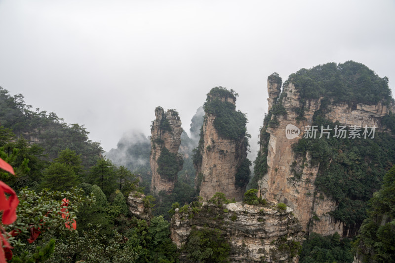 云雾缭绕的张家界奇峰异石景观