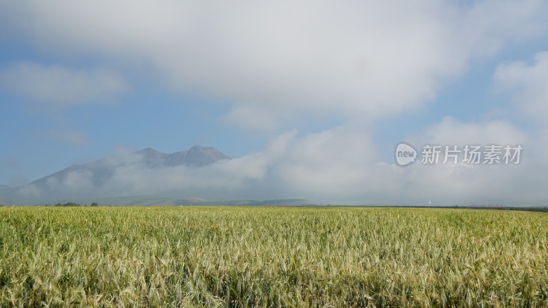 广阔田野景观与云雾缭绕远山的景象