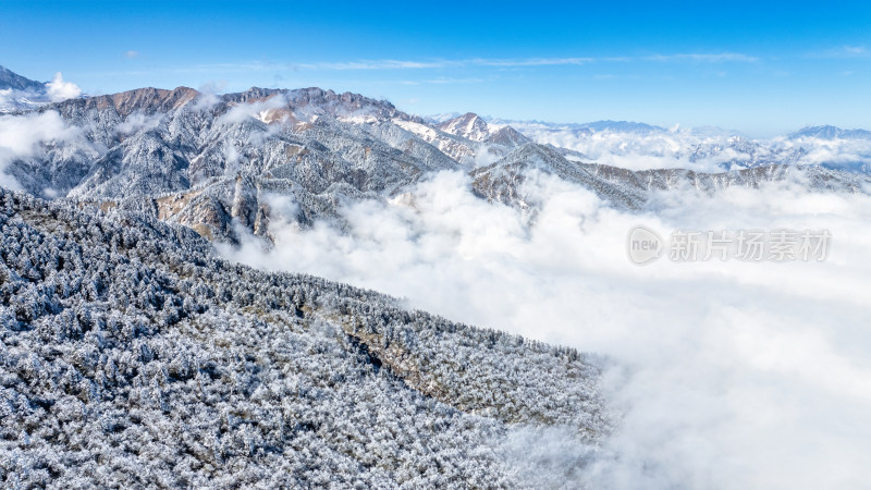 四川成都西岭雪山上空的云海群山航拍