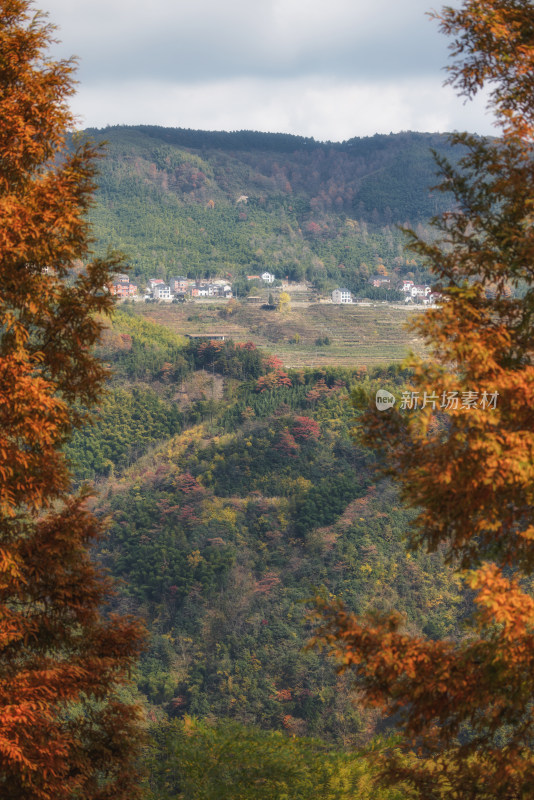 杭州临安林家塘村山坡森林乡村秋色